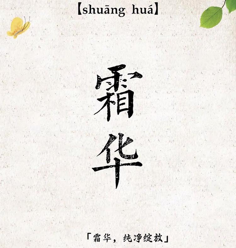 霜华臻选DIY潮玩
