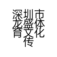 深圳市龙盛体育文化传媒有限公司的小店