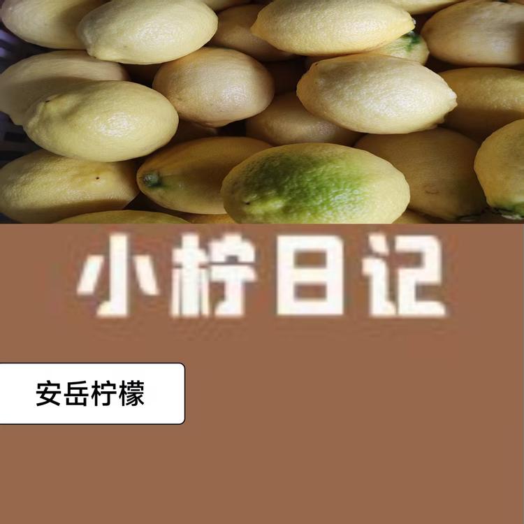 小柠日记
