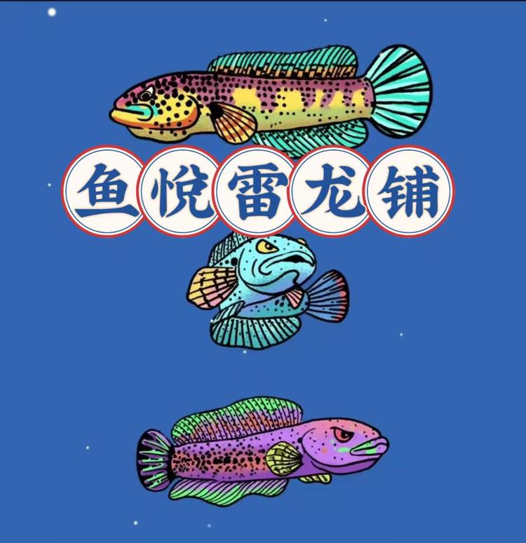 鱼悦雷龙铺