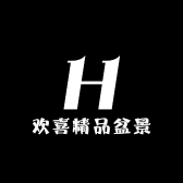 欢喜精品盆景