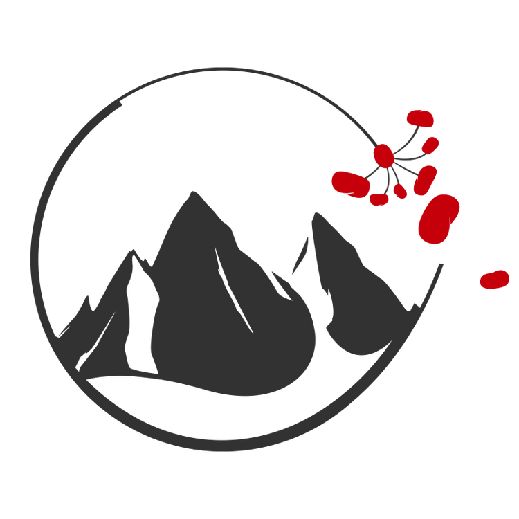 长白山人参特产