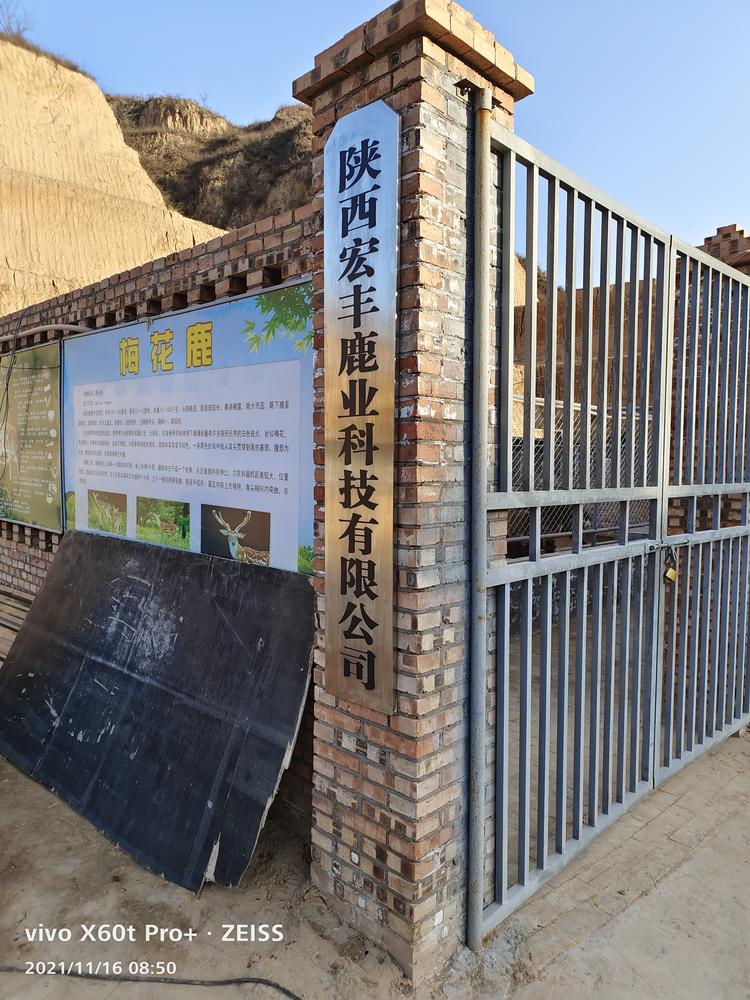 陕西宏丰鹿业科技有限公司的小店