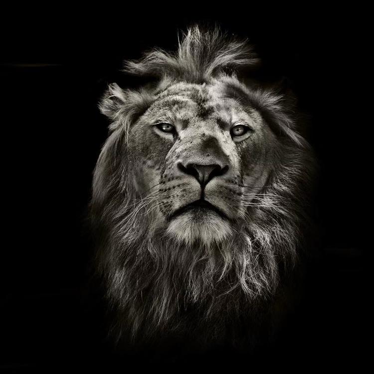 山东好莱屋工程咨询有限公司的小店