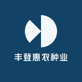 金玉满堂玉米种子