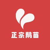 正宗鹅苗