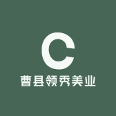 曹县领秀美业
