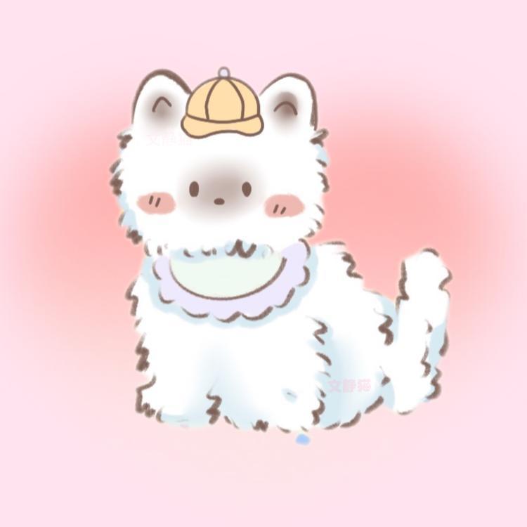 文静猫小铺