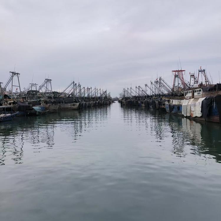 海鲜优选小当家