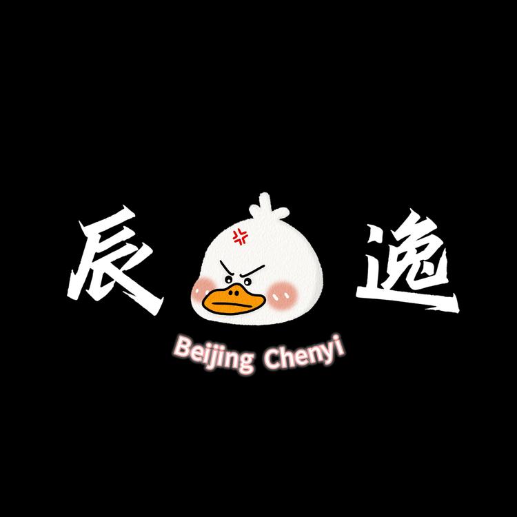 北京辰逸工作室