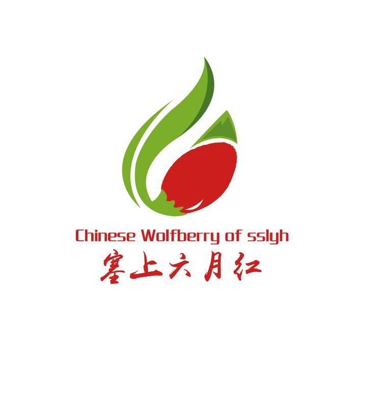 宁夏塞上六月红枸杞特产店