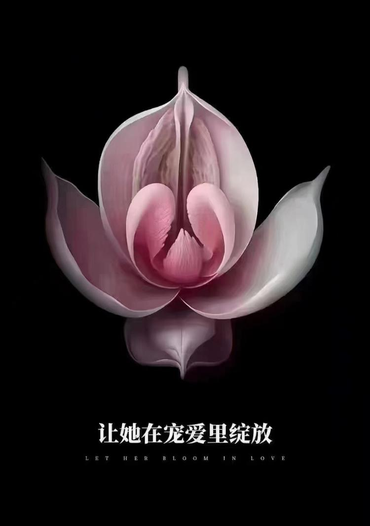 富俪格格私护宫廷秘集