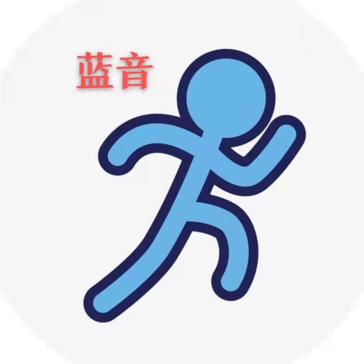 河南蓝音电子科技有限公司