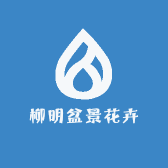 柳明盆景花卉