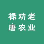 禄劝老唐农业