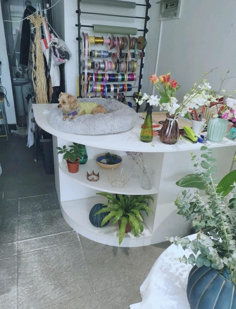 莆田市荔城区繁花里鲜花店的小店个体店
