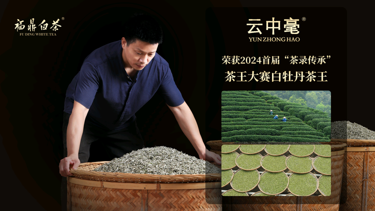 老高炭焙福鼎白茶