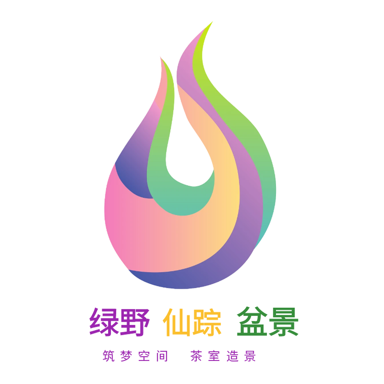 绿野仙踪盆景