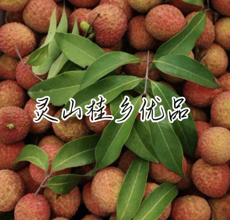 广西灵山桂乡优品