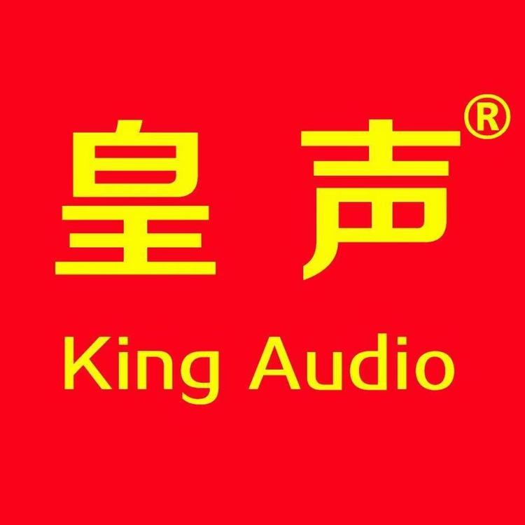皇声音响工厂店
