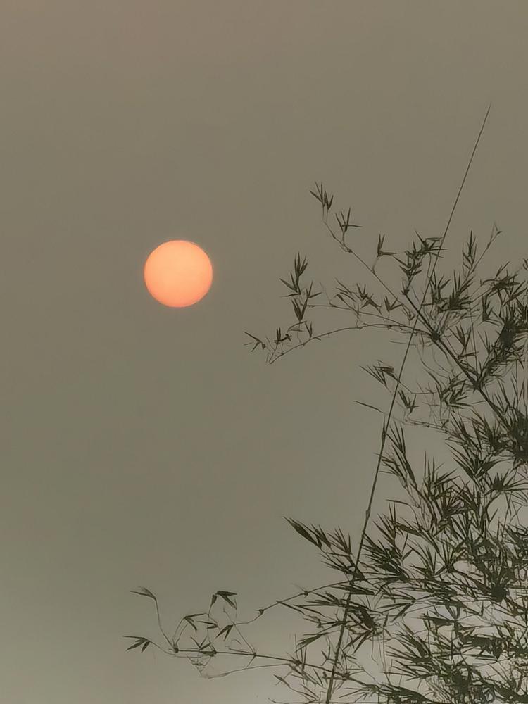 深圳市宝安区沙井街道亿万嘉电子商务经营部的小店个体店