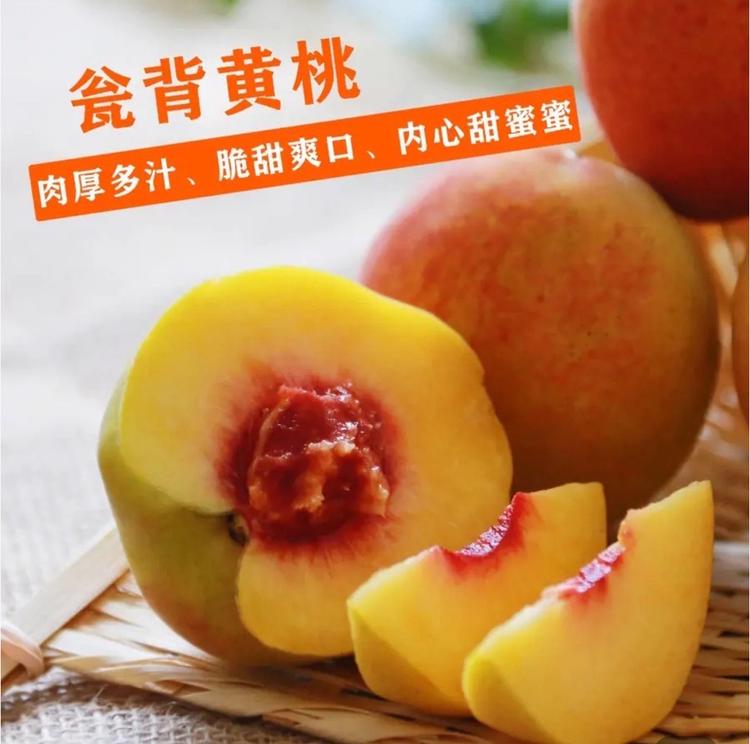 瓮背农产优选