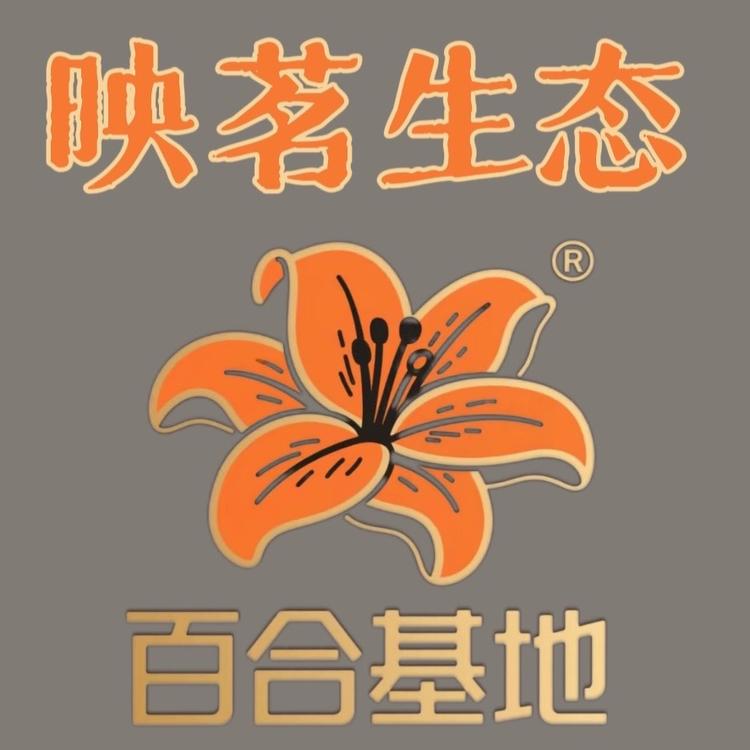 映茗农场百合大王