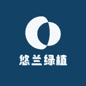悠兰绿植