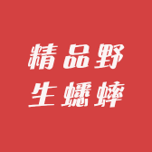 宁阳精品野生蟋蟀