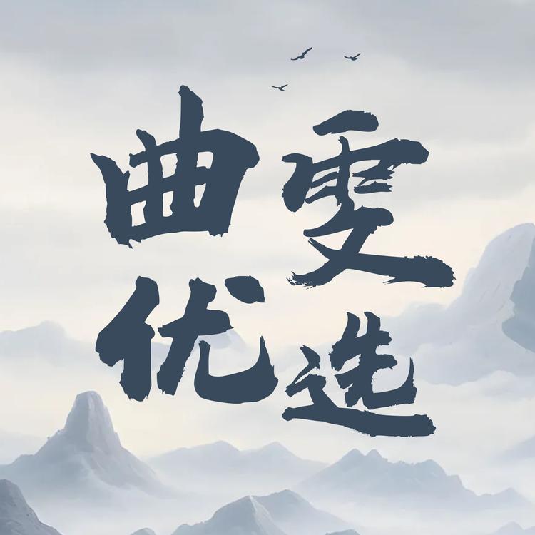 曲雯优选