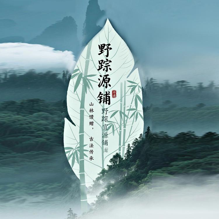 卢氏县野踪源预包装食品铺子