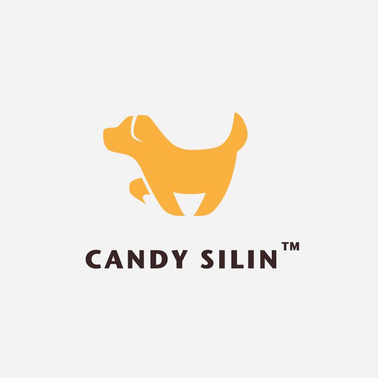 北京帅汪汪科技有限公司