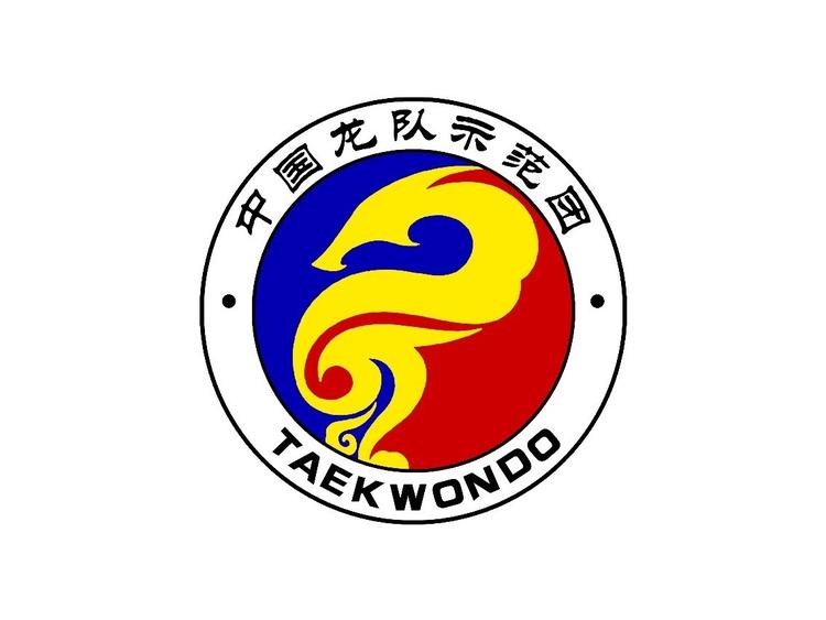 龙队跆拳道示范团周边产品