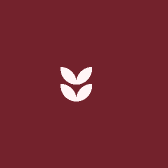 小豆丁kids