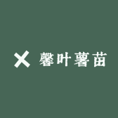 馨叶薯苗
