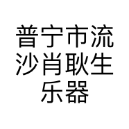 普宁市流沙肖耿生乐器店的小店