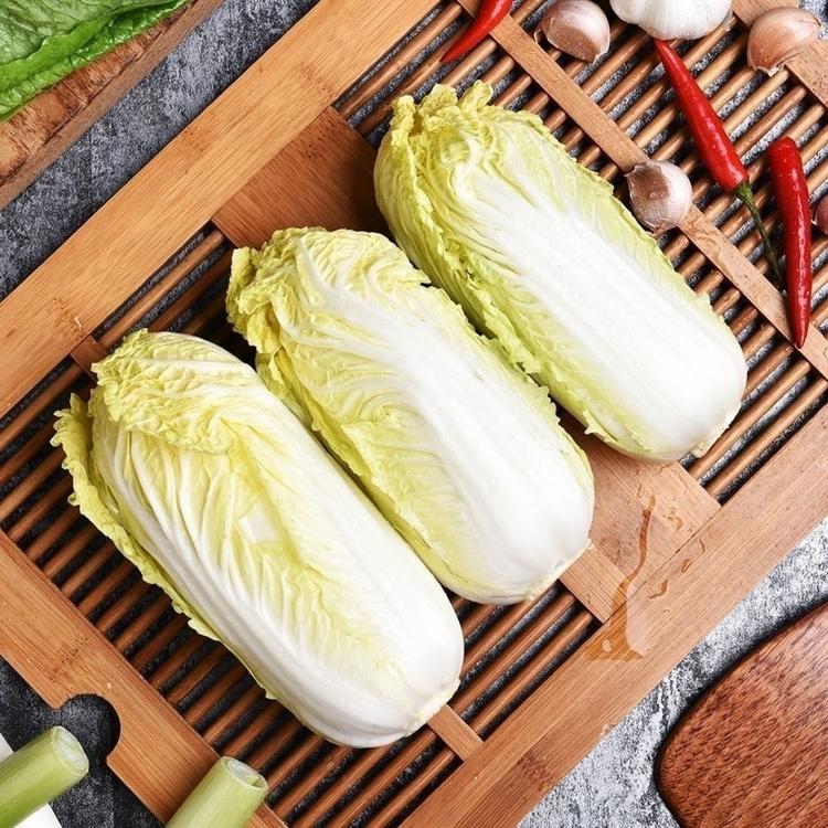 俏巴果蔬农场