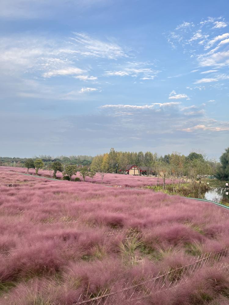 姣姣家纯手工定制穿戴甲