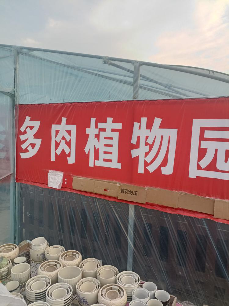 宿州市埇桥区冰冰花卉园艺场的小店