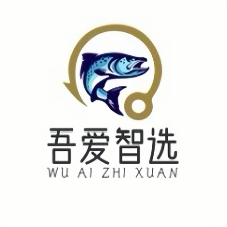 吾爱智选