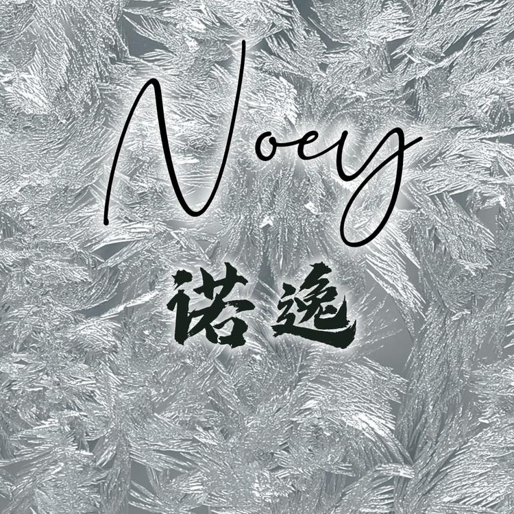 诺逸优选