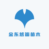 金东悠笛苗木