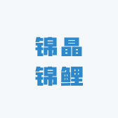 锦晶锦鲤