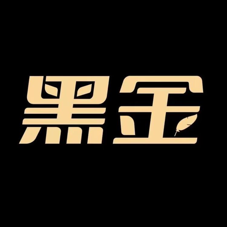 轻奢黑金羽绒服