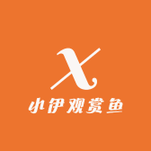 小伊观赏鱼