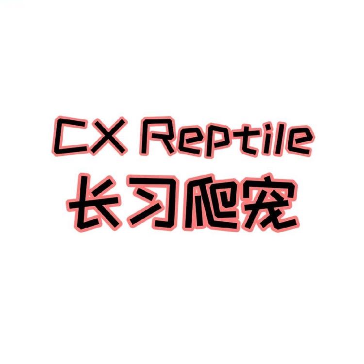 长喜爬宠