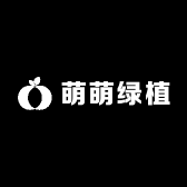 萌萌绿植