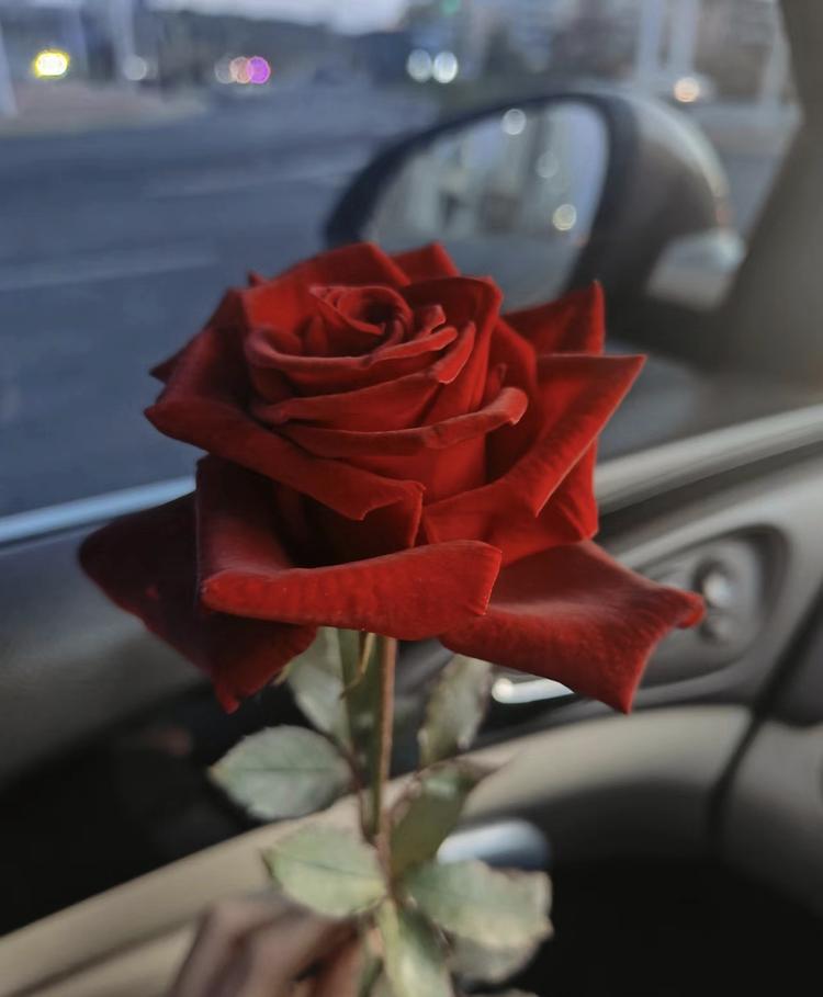 觅季花卉坊