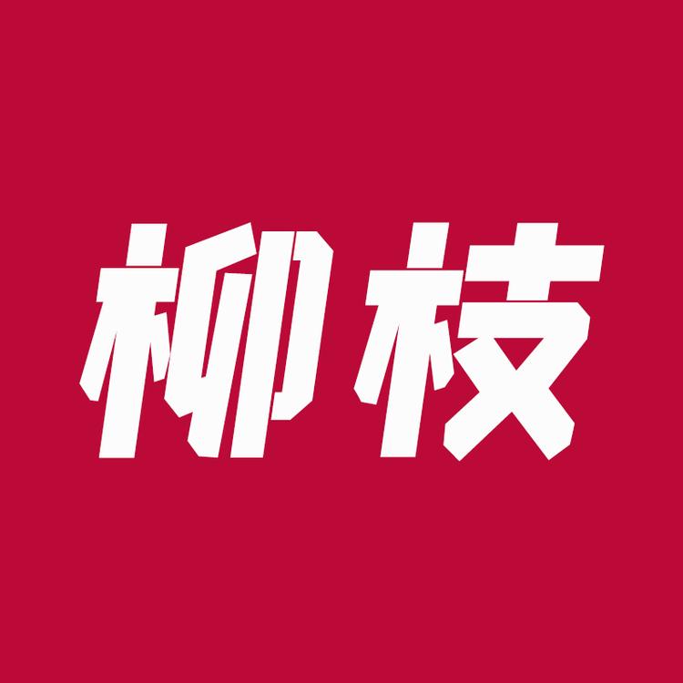 柳枝肌肤管理
