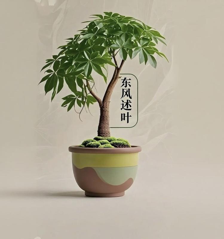 东风述叶Bloom